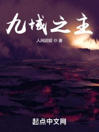 九域之主封面