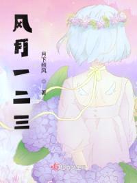 风月一二三封面