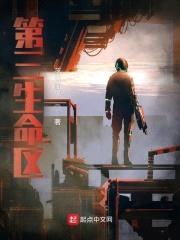 第三生命区封面