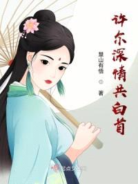 许尔深情共白首封面