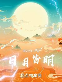 日月皆明封面