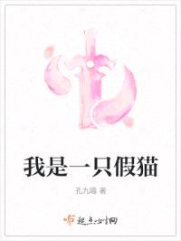 我是一只假猫封面