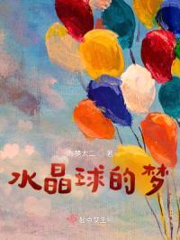 水晶球的梦封面