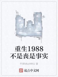 重生1988不是丧是事实封面