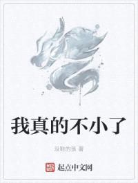 我真的不小了封面