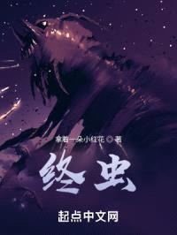 终虫封面