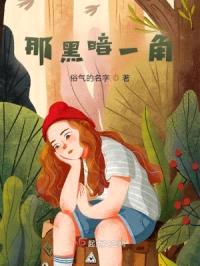 那黑暗一角封面