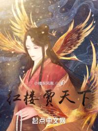 红楼贾天下封面