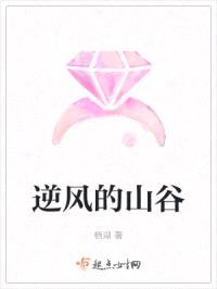 逆风的山谷封面